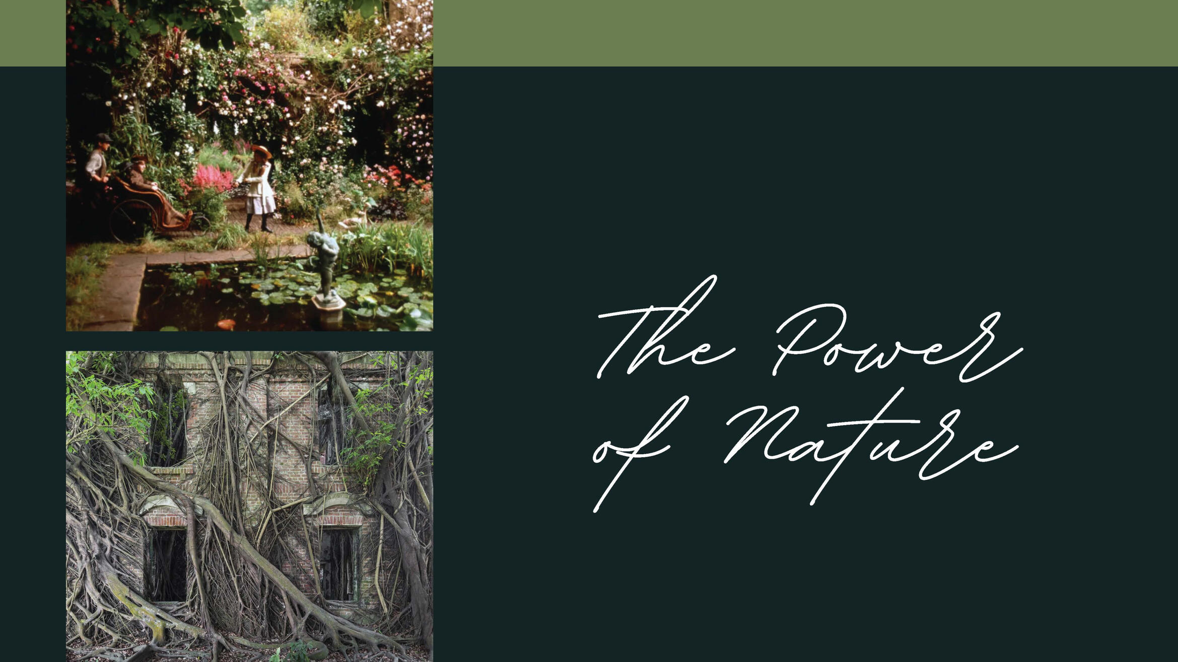 The Power of Nature